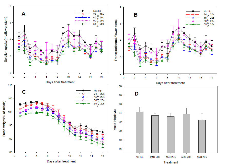 열수침지에 따른 처리후 흡수량(A), 증산량(B), 생체중(C) 및 절화수명(D)