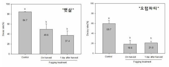 처리 시기에 따른 장미 유통 후 부패율