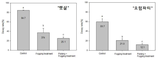 병용처리(미세안개+물올림)에 따른 장미 유통 후 부패율