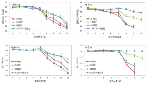 선도유지제 전처리에 따른 절화 백합 잎 엽록소 함량, 색도