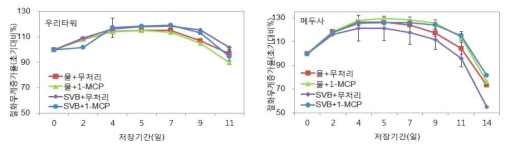 선도유지기술 종합처리에 따른 절화 백합 생체중 변화