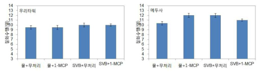 선도유지기술 종합처리에 따른 절화 백합 절화수명