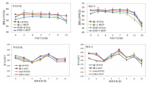 선도유지기술 종합처리에 따른 절화 백합 잎 엽록소, 함량, 색도