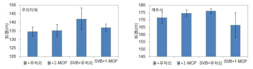 선도유지기술 종합처리에 따른 만개시 화경 (왼: 우리타워, 오른: 메두사)