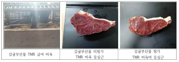 감귤부산물 TMR 급여 비육 및 등심근 조사