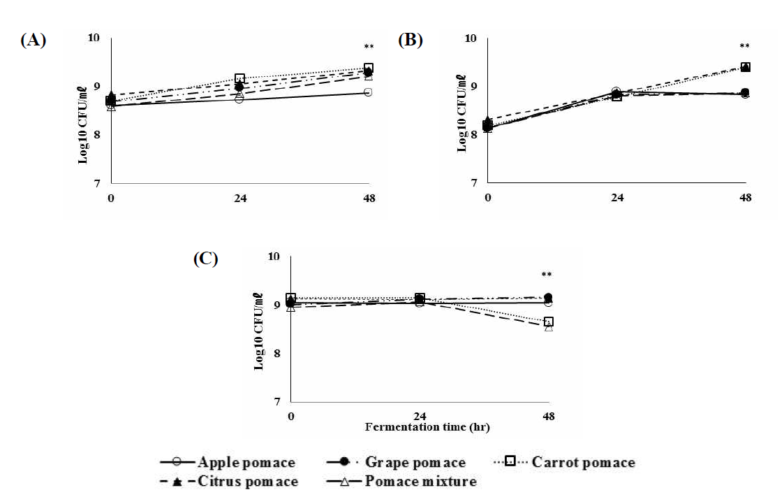 주스박의 in vitro 발효에 따른 생균수의 변화. (A) LB, (B) MRS, (C) YM. 평균±표준 편차. 유의적인 차이가 나는 처리는 **로 표시함, p<0.05