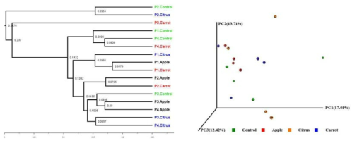 발효 주스박 TMR을 급여한 한라마 분변의 UPGMA와 PCoA 분석. (A) UPGMA phylogenetic tree (B) Principal coordinate analysis (PCoA)plot based on the unweighted UniFrac distance matrix