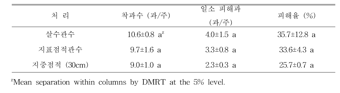 사과 ‘후지’/M.9 과원의 관수 방법에 따른 일소 피해 정도