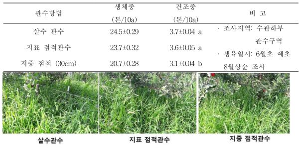 사과 ‘후지’/M.9 과원의 관수 방법에 따른 잡초 발생량