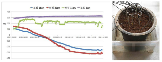 토심별 산화환원 전위 변화(실내-화분, 지하수위:-25cm)