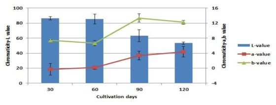 배양기간에 따른 배지 색도 변화-농진고
