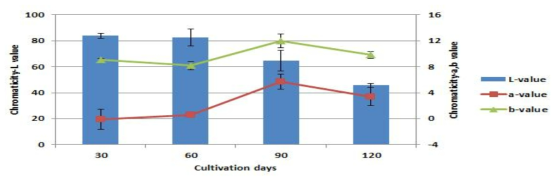 배양기간에 따른 배지 색도 변화-산조701호