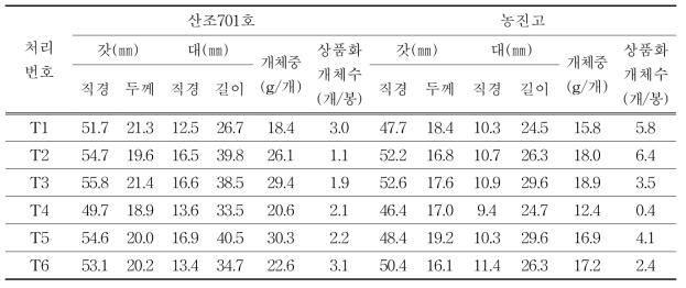 배지조성별 자실체 주요 특성