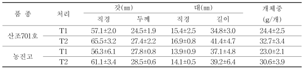 청주 A 실증농가에서의 배지조성에 따른 자실체 생육