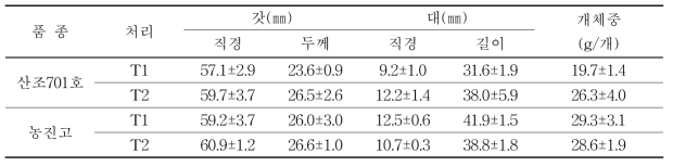 괴산 C 실증농가에서의 배지조성에 따른 자실체 생육