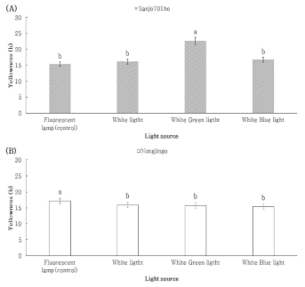 혼합광에 따른 황색도 (A) ‘Sanjo701ho’; (B) ‘Nonjingo’. Means with different letters on the bars are significantly different by Duncan`s multiple range test (p<0.05)