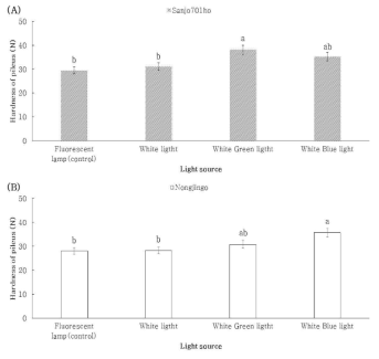 혼합광에 따른 경도 (A) ‘Sanjo701ho’; (B) ‘Nonjingo’. Means with different letters on the bars are significantly different by Duncan`s multiple range test (p<0.05)