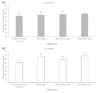 혼합광에 따른 품종별 갓직경. (A) ‘Sanjo701ho’; (B) ‘Nonjingo’. Means with different letters on the bars are significantly different by Duncan`s multiple range test (p<0.05)