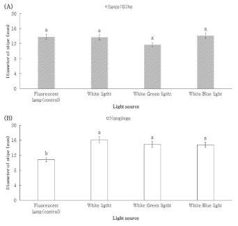 혼합광에 따른 품종별 대직경. (A) ‘Sanjo701ho’; (B) ‘Nonjingo’. Means with different letters on the bars are significantly different by Duncan`s multiple range test (p<0.05)