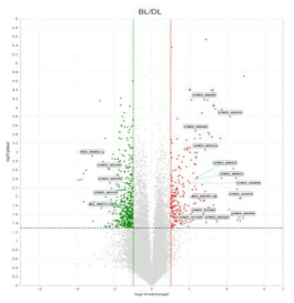 생육기간 중 청색광 처리에 따른 DEG volcano plot