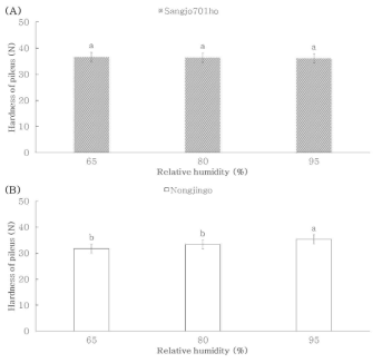 상대습도에 따른 품종별 경도. (A) ‘Sanjo701ho’; (B) ‘Nonjingo’. Means with different letters on the bars are significantly different by Duncan`s multiple range test (p<0.05)