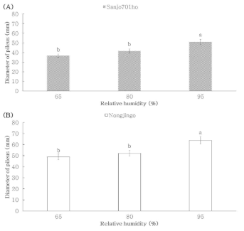 상대습도에 따른 품종별 갓의 직경. (A) ‘Sanjo701ho’; (B) ‘Nonjingo’. Means with different letters on the bars are significantly different by Duncan`s multiple range test (p<0.05)