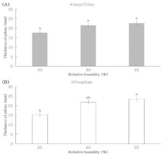 상대습도에 따른 품종별 갓의 두께. (A) ‘Sanjo701ho’; (B) ‘Nonjingo’. Means with different letters on the bars are significantly different by Duncan`s multiple range test (p<0.05)