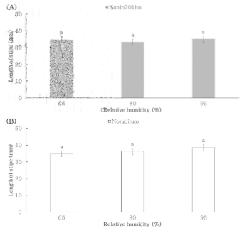 상대습도에 따른 품종별 대의 길이. (A) ‘Sanjo701ho’; (B) ‘Nonjingo’. Means with different letters on the bars are significantly different by Duncan`s multiple range test (p<0.05)