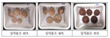 저장형태[산조 701호], 랩포장, 4℃ 저장