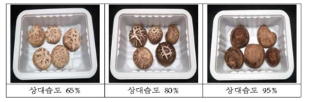 저장형태[농진고], 랩포장, 4℃ 저장