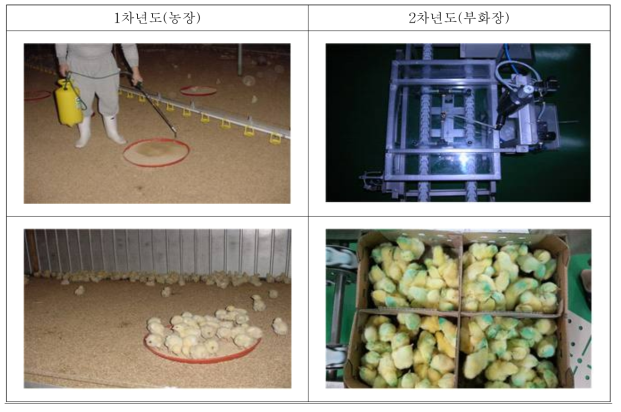 콕시듐 백신접종방법 비교