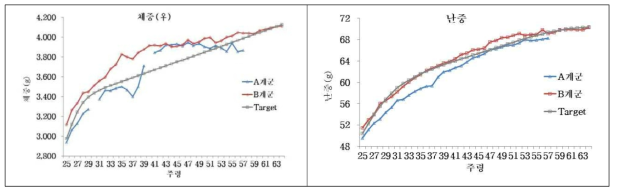 산란기간 암탉 체중 및 난중 비교
