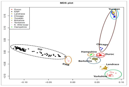 돼지 품종 판별을 위한 60K SNP array 기반 Multiple dimension scaling (MDS) 분석 결과