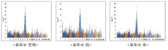 유두수에 대한 GWAS 분석결과