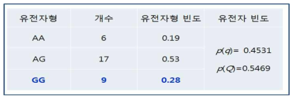 재래돼지에 대한 갈비뼈수 조절 유전자 빈도 조사