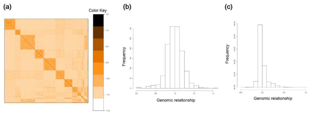 재래돼지 교배축군의 SNP 정보 히스토그램. (a) 본 연구에서 사용 된 게놈 관계 행렬 G의 Heatmap. (b) 게놈 관련 매트릭스의 그래프. (c) 게놈 관계 매트릭스의 히스토그램