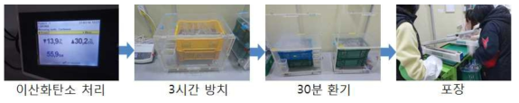 느타리버섯 이산화탄소 전처리 실험 과정