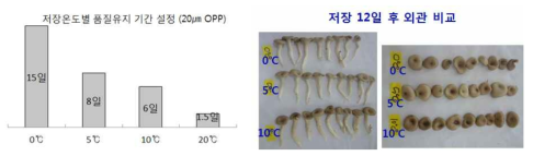 느타리버섯 OPP 포장 저장 중 저장온도별 품질유지 기간