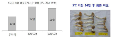느타리버섯 이산화탄소 처리별 저온(3℃) 품질유지 기간 및 외관 비교