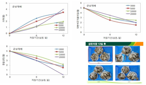 균상재배 느타리버섯 산소투과율 필름 처리별 상온저장 중 관능적 품질변화
