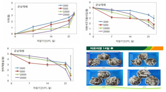 균상재배 느타리버섯 산소투과율 필름 처리별 저온(3℃)저장 중 관능적 품질변화