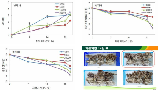 병재배 느타리버섯 산소투과율 필름 처리별 저온(3℃)저장 중 관능적 품질변화