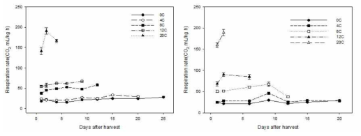 저장온도에 따른 양송이 A15(좌)와 새도(우) 품종의 호흡량 변화