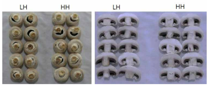 상대습도 환경에 따른 양송이 5일 저장 후 품질