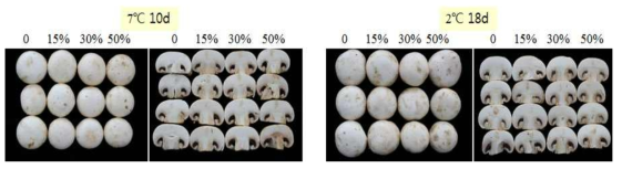 이산화탄소 처리에 따른 저장온도별 양송이 품질