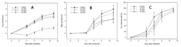 열처리에 따른 양송이 저장 중 갓생장(A), 대생장(B) 및 갓개열(C) 변화