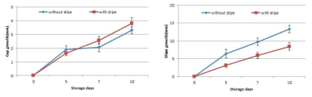 양송이 대 유무에 따른 갓 및 대 생장 변화