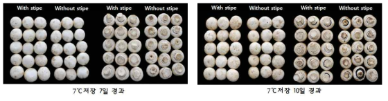 양송이 대 유무에 따른 저장 중 품질