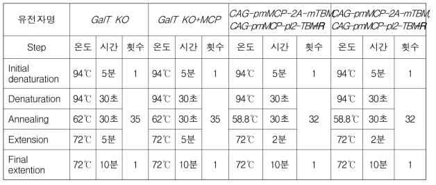 유전자 분석을 위한 PCR 조건