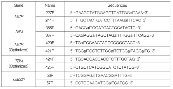 Quantitative Real-time PCR에 사용한 프라이머 리스트